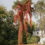 Nook Lakehouse Hotel Bad Saarow