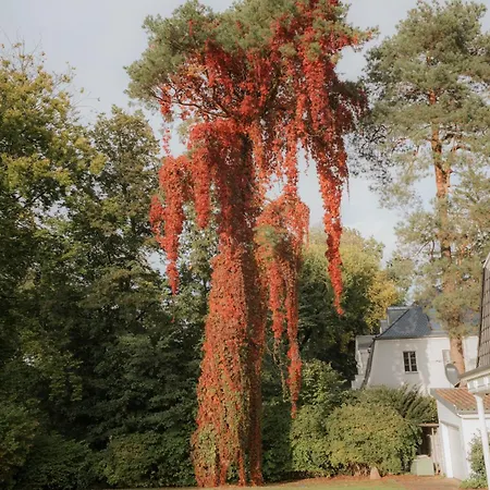 Nook Lakehouse Hotel Bad Saarow