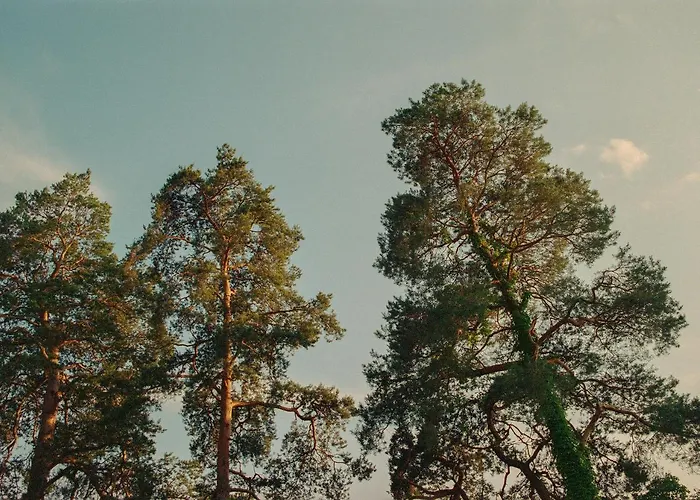 Nook Lakehouse Hotel *