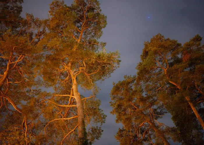 Nook Lakehouse * Bad Saarow