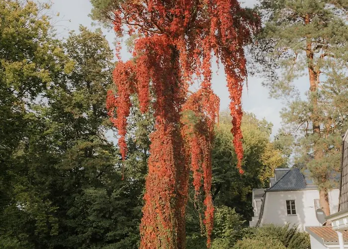 Nook Lakehouse Otel Bad Saarow