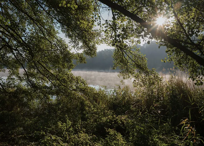 Nook Lakehouse Bad Saarow