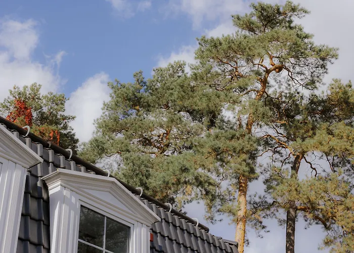 Nook Lakehouse Hotel Bad Saarow